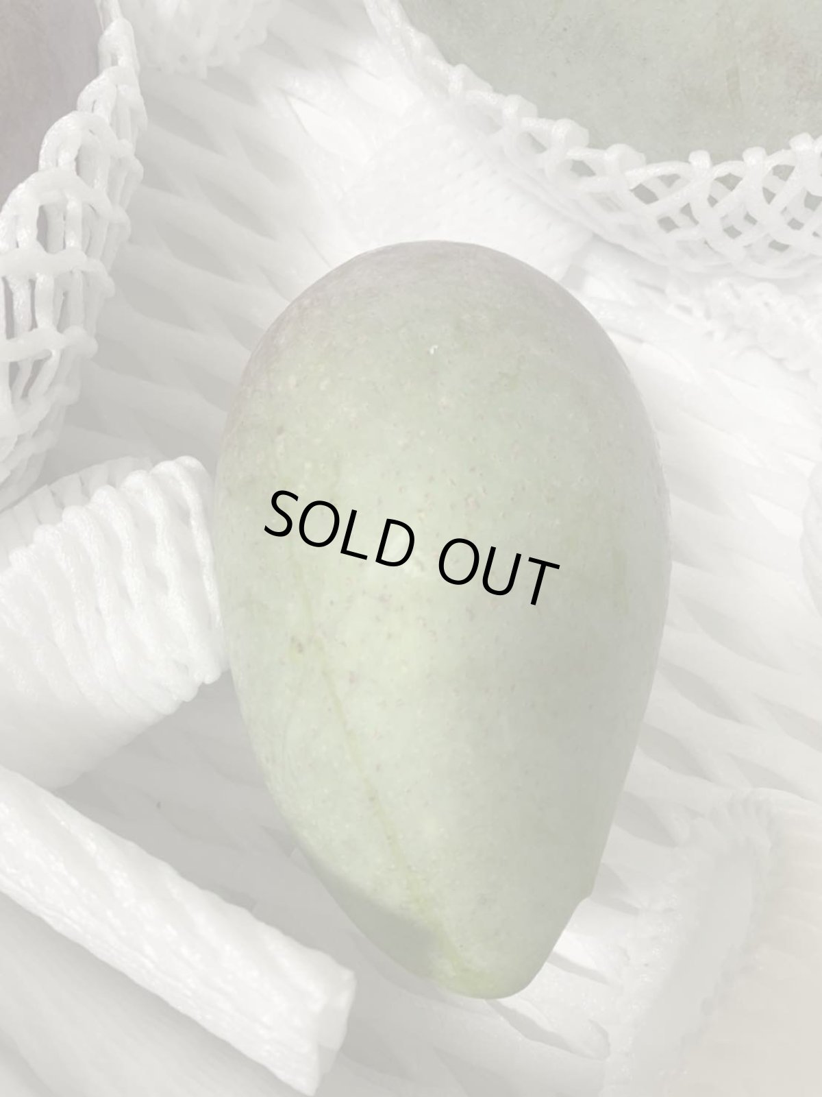 画像2: 【希少種/数量限定】 沖縄産 玉分マンゴー(赤玉)１玉（約800ｇ） (2)