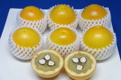 画像3: 沖縄県産　アビウ（アビュー）約１．５kg（４〜８個）珍果実
