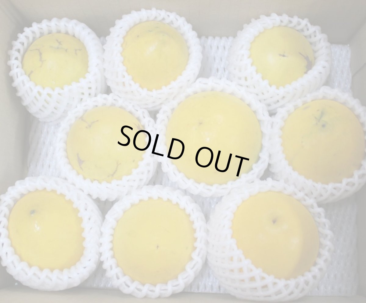 画像6: 沖縄県産 アビウ（アビュー）約700〜800ｇ（2玉入り）珍果実　数量限定 (6)