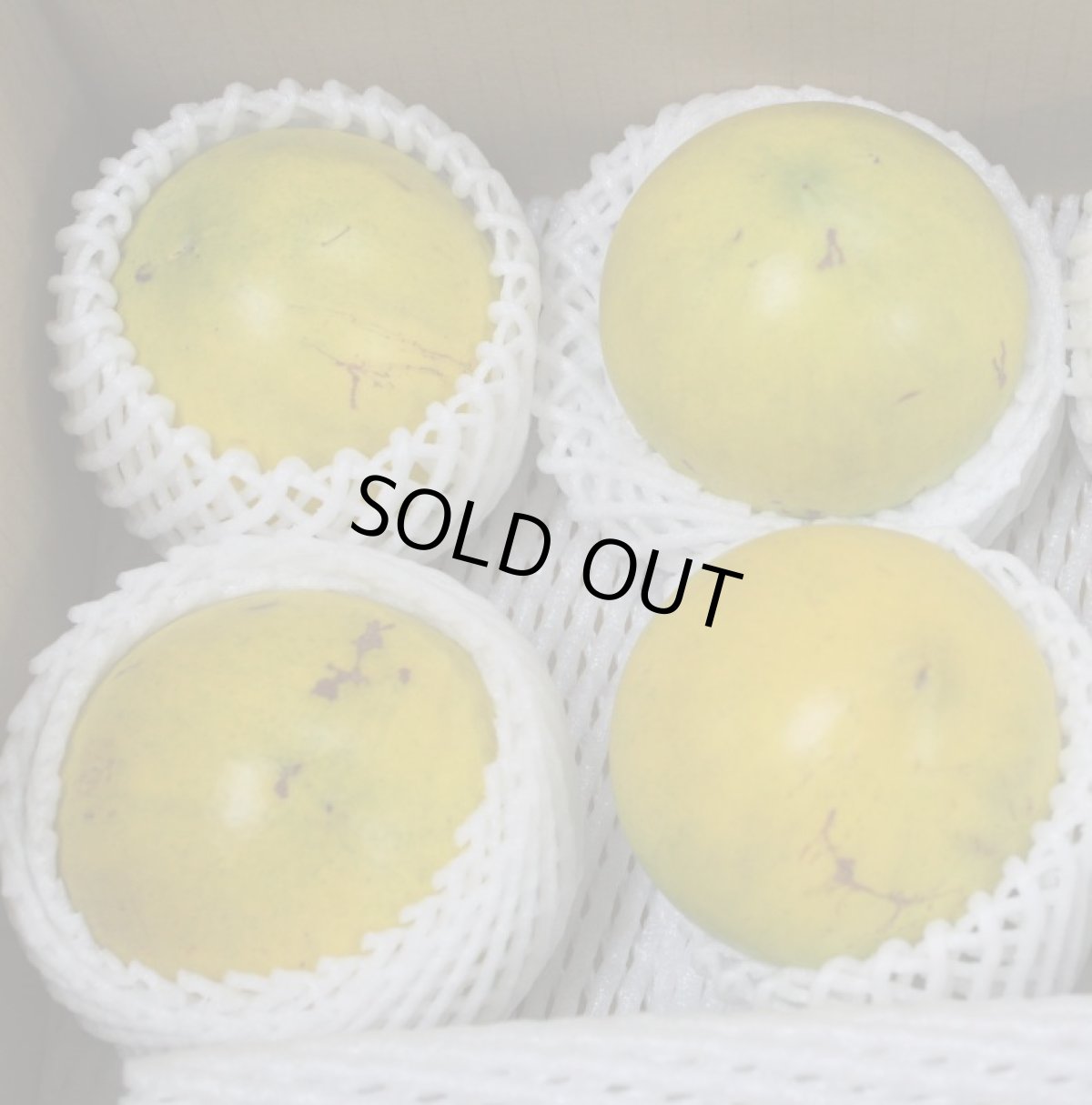 画像4: 沖縄県産 アビウ（アビュー）約700〜800ｇ（2玉入り）珍果実　数量限定 (4)