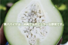 画像3: 沖縄産 冷凍 パパイヤシリシリ （１８０g×１パック） パパイヤチャンプルー 千切りパパイヤ (3)
