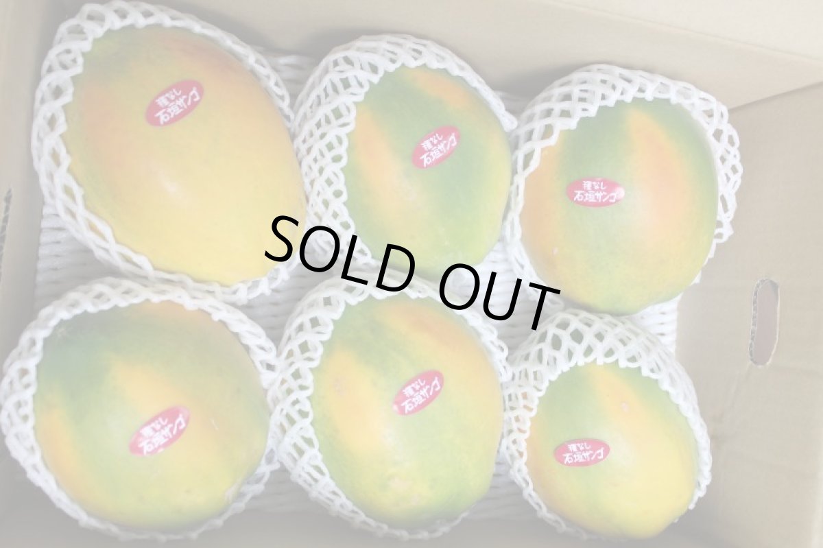 画像3: 沖縄県産 フルーツパパイヤ4kg(5〜11玉入)【常温発送】【クール便商品と同梱不可】【発送期間年中】 (3)