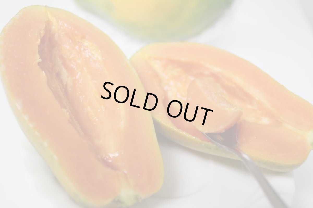 画像2: 沖縄県産 フルーツパパイヤ4kg(5〜11玉入)【常温発送】【クール便商品と同梱不可】【発送期間年中】 (2)