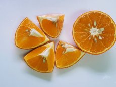 画像1: 国産 ミネオラオレンジ ３kg 【キズあり】 沖縄県 山原産 メルマガ会員は２０％OFF (1)