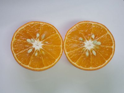 画像3: 国産 ミネオラオレンジ ３kg 【キズあり】 沖縄県 山原産 メルマガ会員は２０％OFF