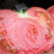 画像2: 沖縄野菜　トマト約１ｋｇ (2)
