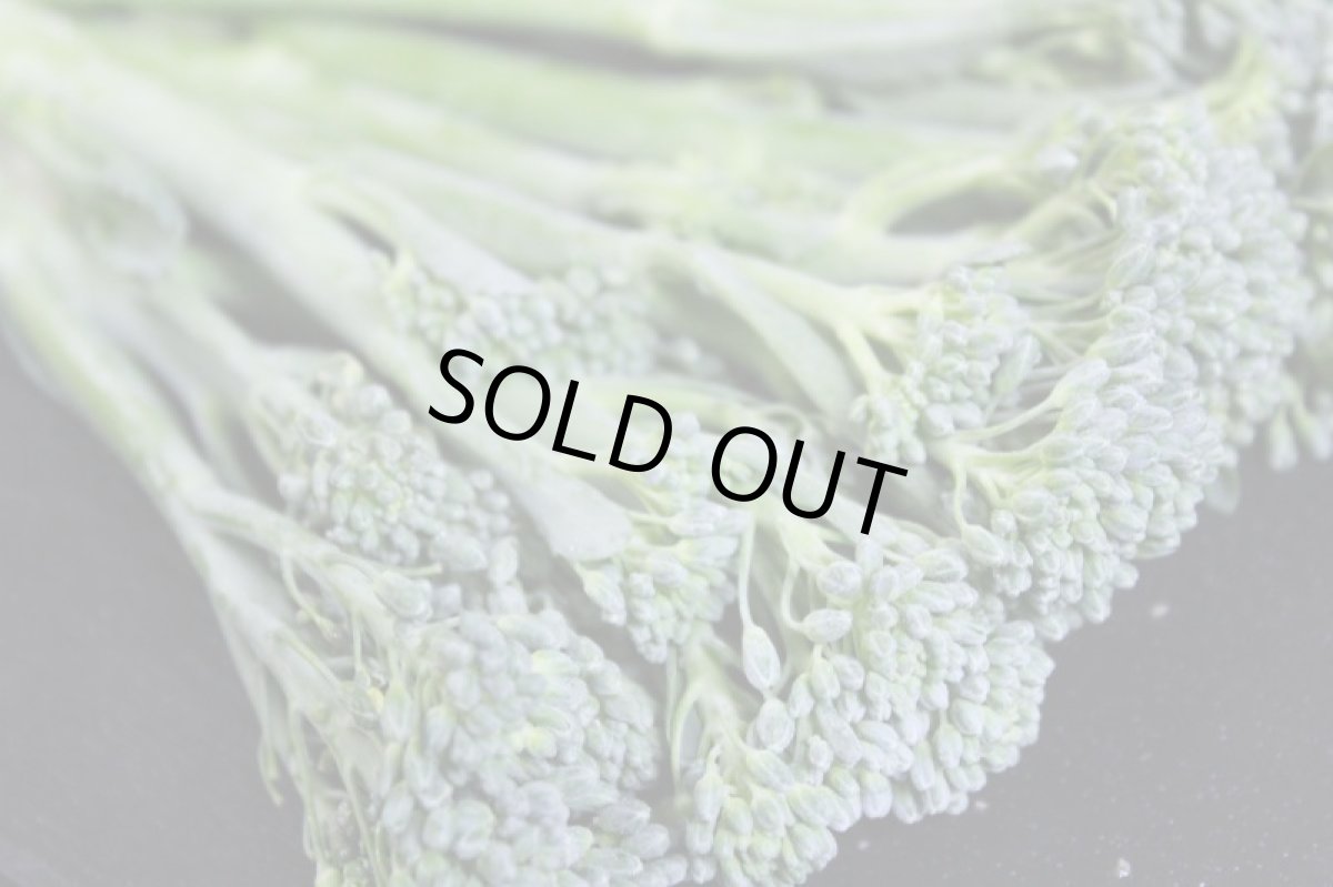 画像2: 沖縄産スティックセニョール１パック（約１００g） (2)