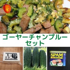 画像1: 沖縄県産　ゴーヤーちゃんぷるーセット（ゴーヤー500ｇ/島豆腐１パック/SPAMorTULIP1缶）今だけ10％割引セール (1)