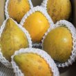 画像3: 沖縄県産 カニステル 約3kg 南国の不思議な果物（エッグフルーツ）【発送12月〜4月】【配達日指定不可】 (3)