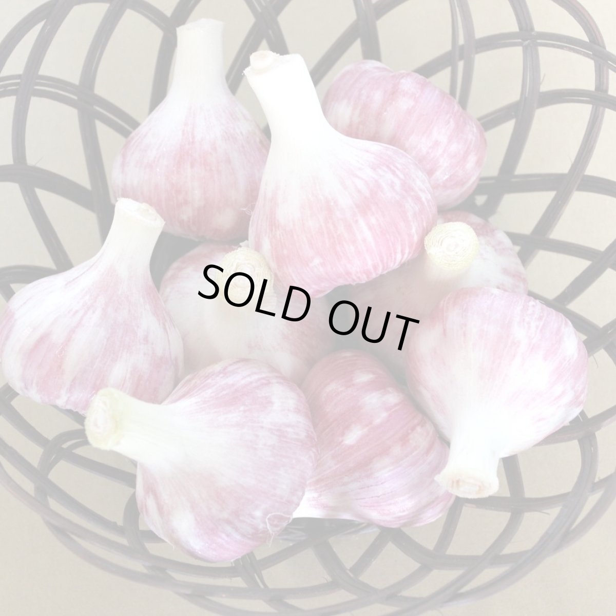 画像4: 沖縄産　島にんにく（大玉）５キロ　果肉の数が多いので黒ニンニクに最適 (4)