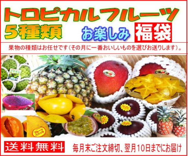 沖縄県産　野菜　パパイヤ　フルーツ　トロピカルフルーツ