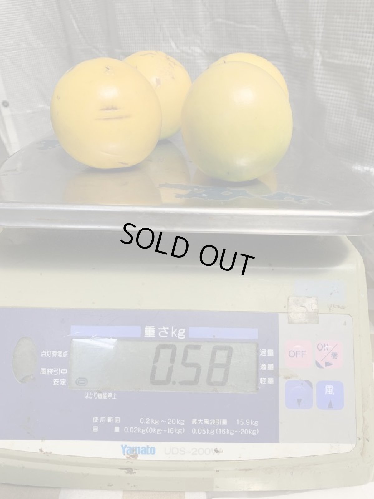 画像9: 今季終了間近 沖縄県産 訳あり小玉 アビウ（アビュー）約500g（2-4個）珍果実 (9)