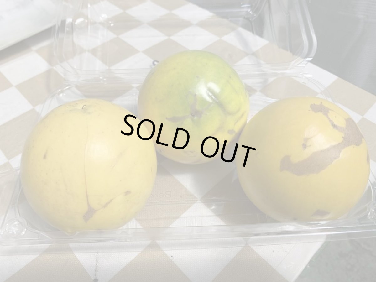 画像6: 今季終了間近 沖縄県産 訳あり小玉 アビウ（アビュー）約500g（2-4個）珍果実 (6)