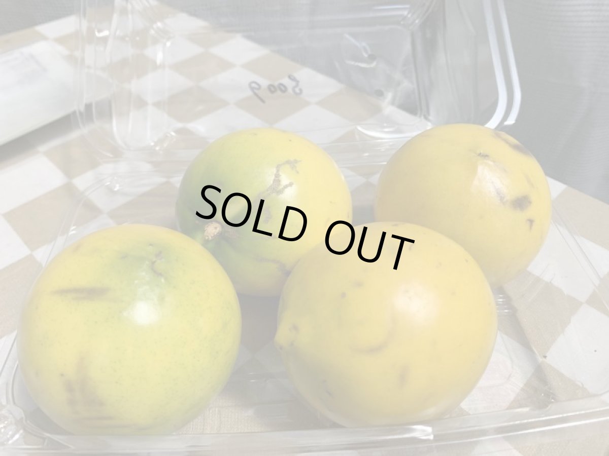 画像5: 今季終了間近 沖縄県産 訳あり小玉 アビウ（アビュー）約500g（2-4個）珍果実 (5)