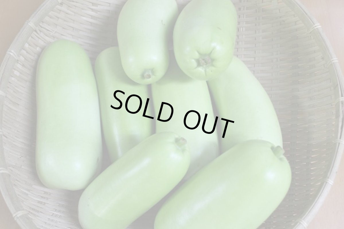 画像3: 【訳あり】ゆうがお 約３kg（２〜４本前後）エスニックサラダに最適！辛くしても最高！ (3)