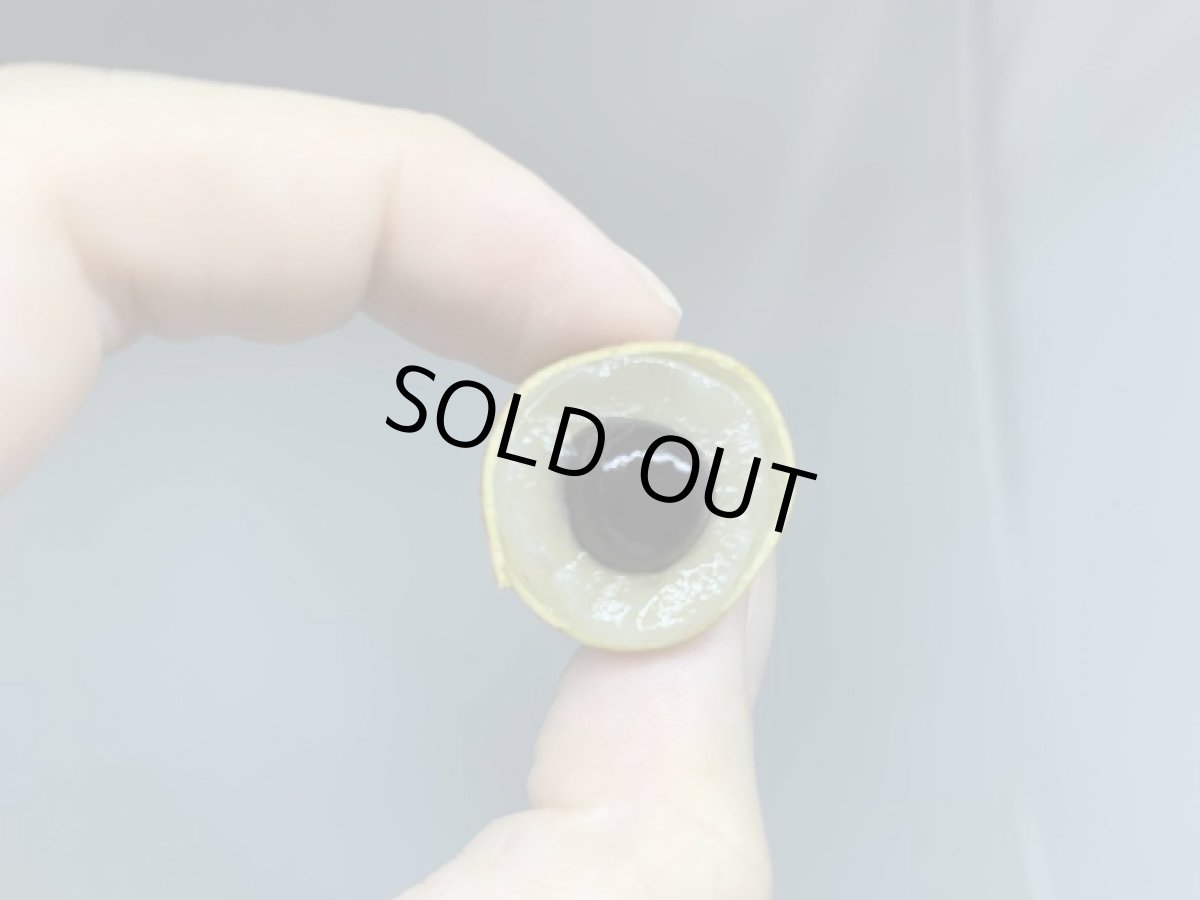 画像2: 一年ぶりの入荷！！沖縄県産リュウガン（竜眼）フレッシュ　５００g　枝付き (2)