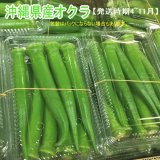 沖縄県産 うりずん豆（琉球四角豆）約5kg 【常温便】⑤ 野菜