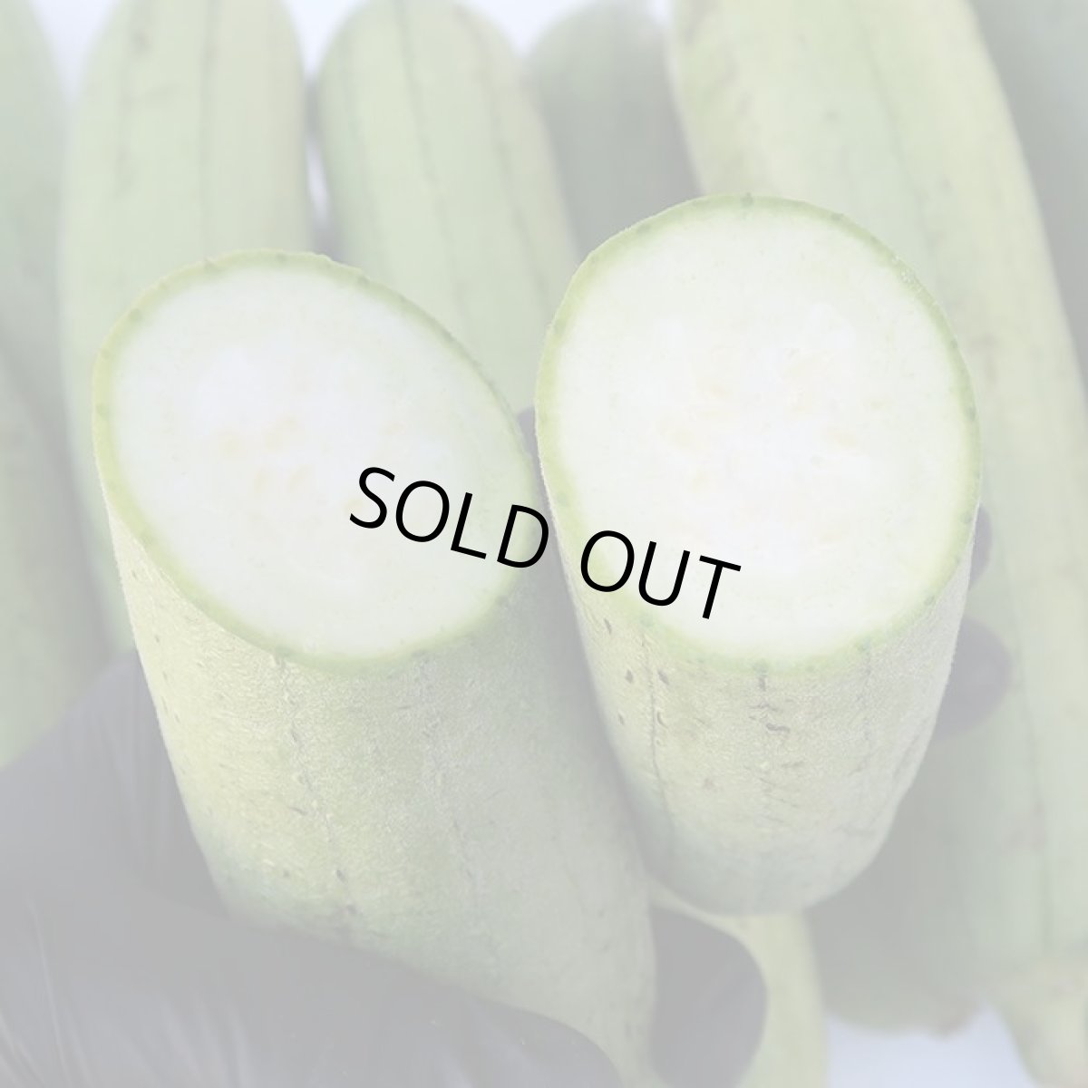 画像2: 〈３０Kg限定〉沖縄産【訳あり】へちま（ナーベーラー）５kg　沖縄野菜  (2)