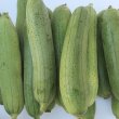 画像1: 沖縄産　ヘチマ（ナーベラー）1kg　 (1)