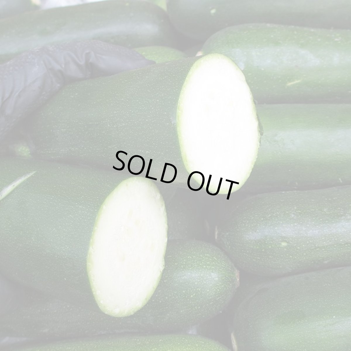 画像3: 【出始め】沖縄野菜 ズッキーニ 約1Kg 沖縄県産 (3)