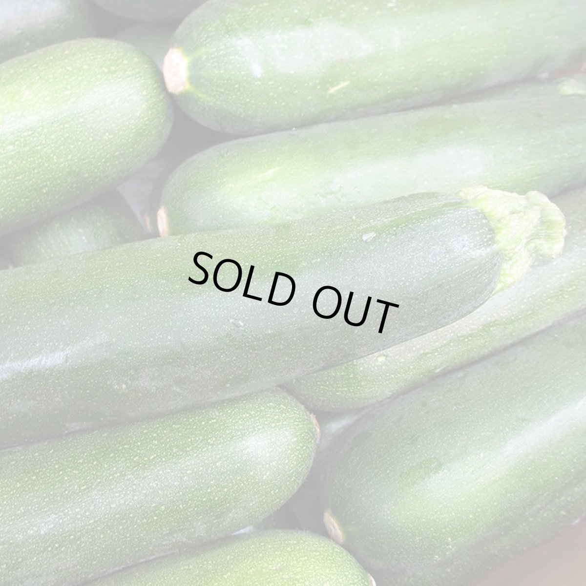 画像2: 【出始め】沖縄野菜 ズッキーニ 約1Kg 沖縄県産 (2)