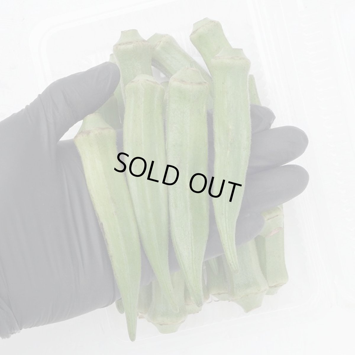 画像2: スポット入荷！格安！沖縄産 オクラ  約200ｇ  (2)