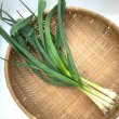 画像1: ☆数量限定セール商品☆ 沖縄産　島にんにくの葉（ニンニク葉) １束（100g） (1)