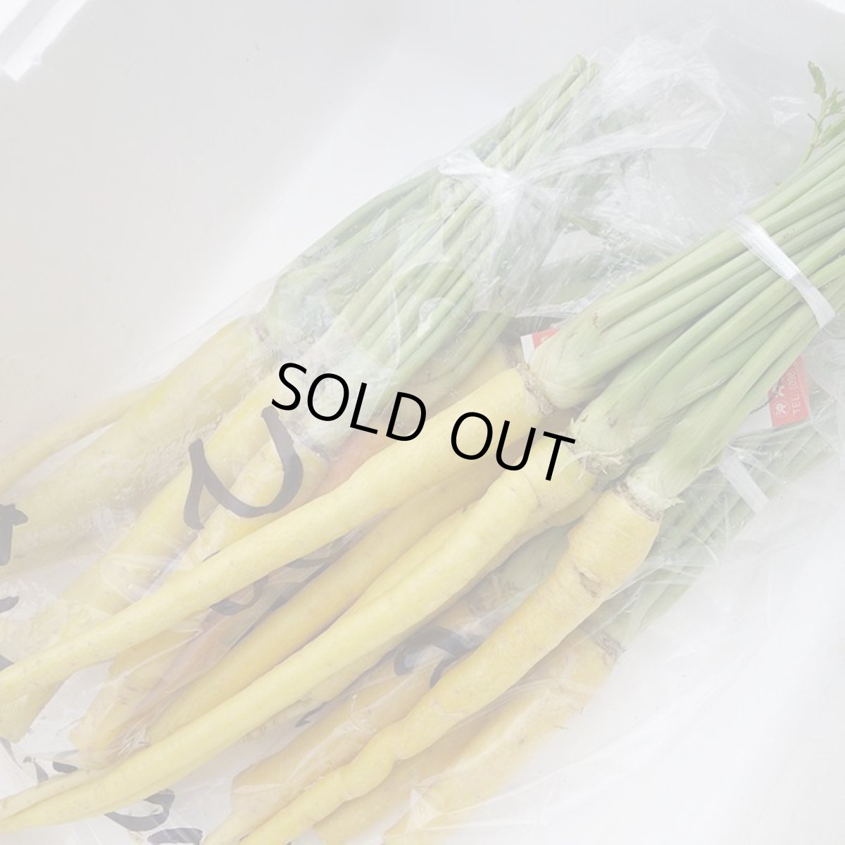 画像2: 【訳あり】香りの優しい沖縄産島人参１ｋｇ　※続々入荷中です (2)