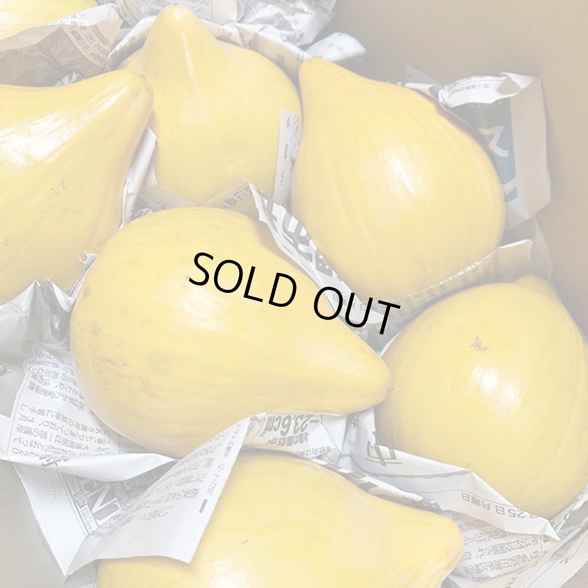 画像2: カニステル 約 2kｇ 南国の不思議な果物（エッグフルーツ）☆沖縄県産  (2)