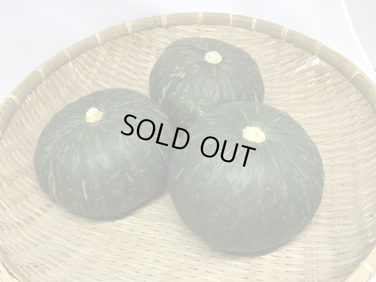 画像4: 沖縄県産　上地さんの 栗 かぼちゃ 約３玉（900g前後×３個）【発送時期１月〜４月】 沖縄島野菜 (4)