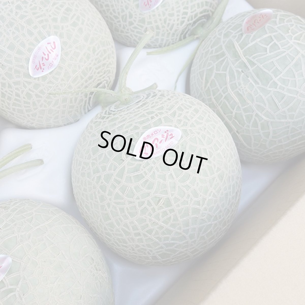 画像2: 「予約商品」宮古島産 　マリアージュメロン6玉　1ケース　(約1.2kg〜前後) 　赤肉メロン　※5月中旬発送開始 (2)