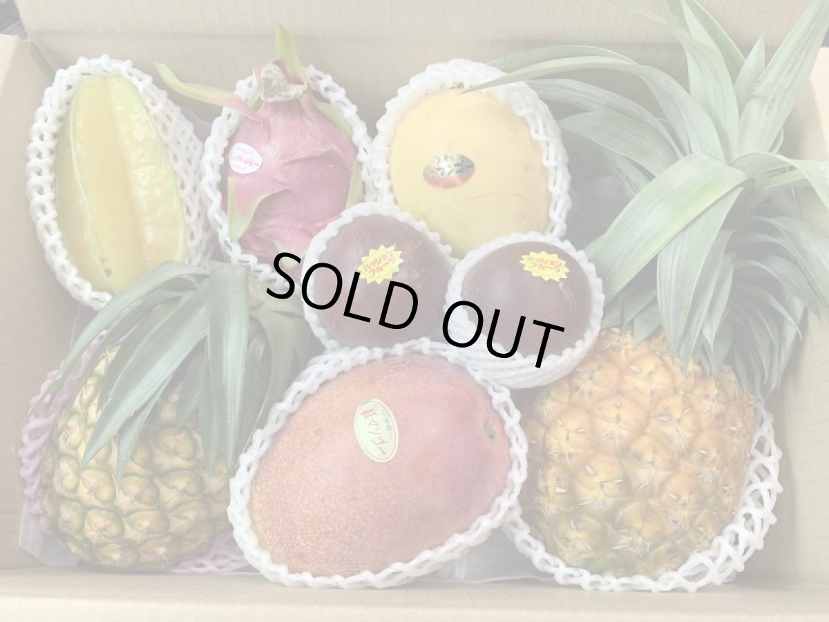 画像2: 《毎月発送 ６ヵ月》うれしい！旬の沖縄フルーツセットお任せ！☆送料無料☆ (2)