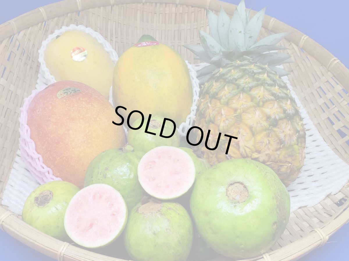 画像3: 《毎月発送 ６ヵ月》うれしい！旬の沖縄フルーツセットお任せ！☆送料無料☆ (3)