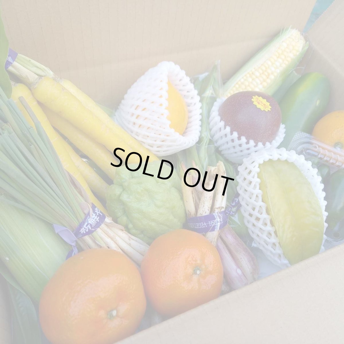 画像8: 《毎月発送 ６ヵ月》うれしい！旬の沖縄フルーツセットお任せ！☆送料無料☆ (8)