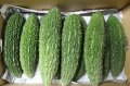 旬です！沖縄県産　ゴーヤー（4ｋｇ）12〜20本　チャンプルー、スムージー、天ぷらに。