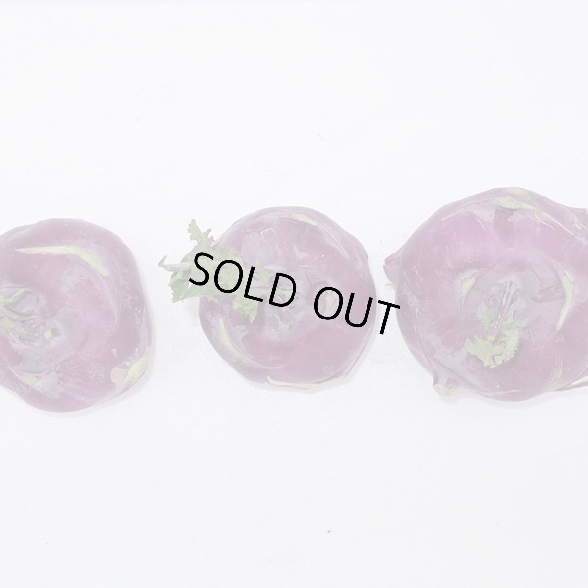 画像2: 沖縄県産　レッドコールラビ　緑　1玉（200〜300g） (2)