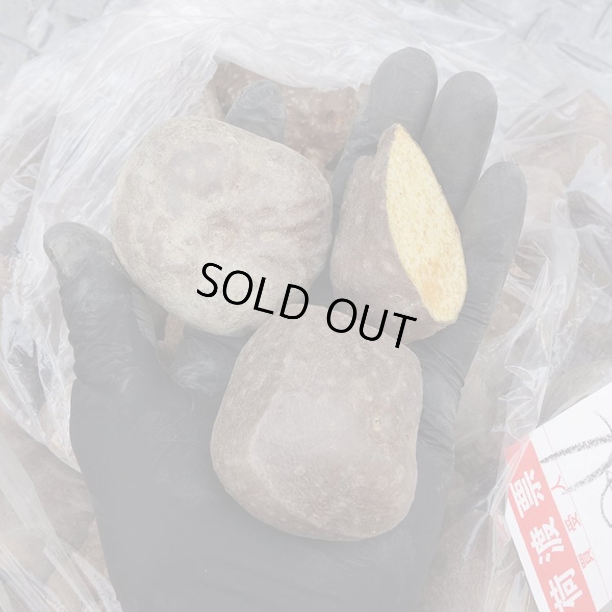 画像2: 【１０セット限定】沖縄産の　宇宙芋（エアーポテト）具志頭から入荷（究極のスタミナ芋ネバネバヘルシー)１ｋｇ (2)