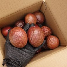 画像1: 糸満喜納農園さまの完熟パッションフルーツ　1.5kg (1)