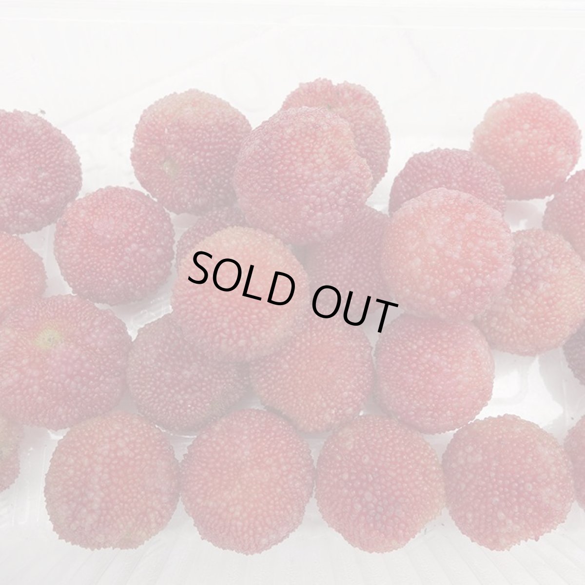 画像2: 沖縄県産 山桃 200g《ヤマモモ・楊梅、ヤンメイ、楊桃、山梅、渋木、樹梅、山桜桃、火実》 (2)