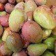 沖縄県産 フルーツ マンゴー mango 未熟マンゴー 青マンゴー