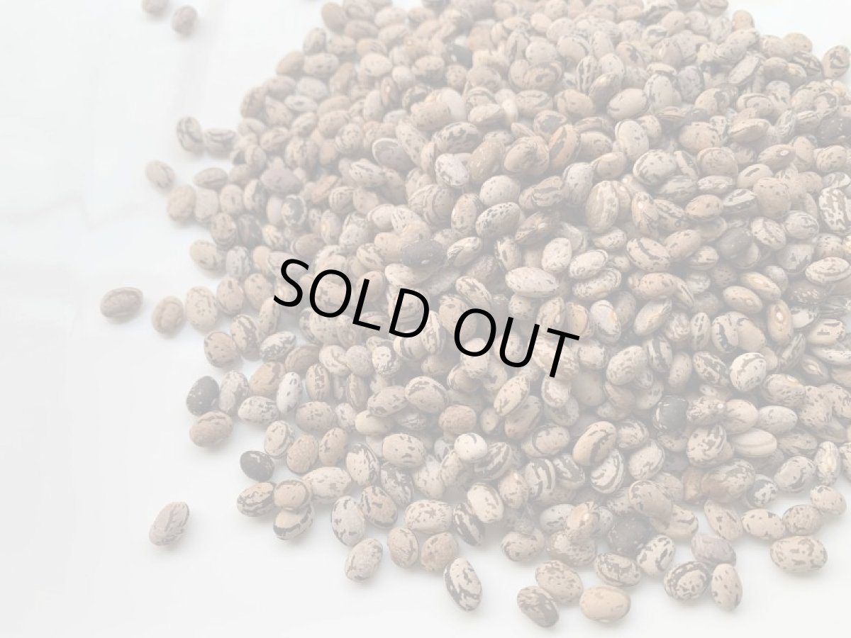 画像2: ☆新商品☆　沖縄県産　うずら豆 　300ｇ×４袋　【甘煮にオススメ】 (2)