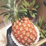 宮古島産　無農薬ピーチパイン8kg(10〜16個入り) 楽天市場】【7月中旬から順次発送】宮古島産 ピーチパイン 10kg