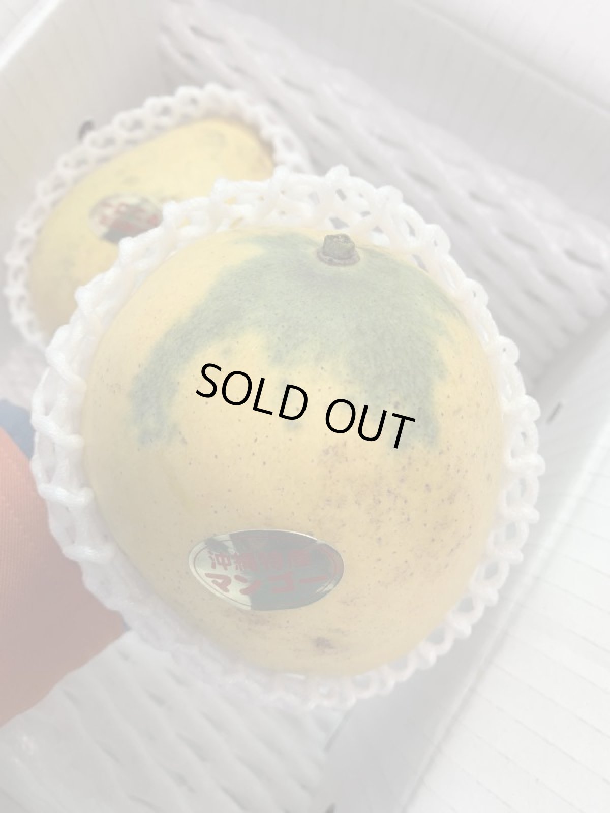 画像3: 【送料無料/優品】沖縄産 金蜜マンゴー1kg　2〜4玉　ゴールドハニー【発送時期7月上旬〜9月】 (3)