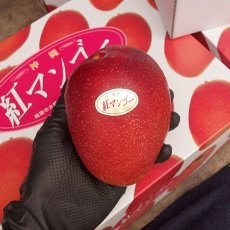 画像3: 紅マンゴー 秀品　約１kg  （２〜４） ☆沖縄県産 (3)