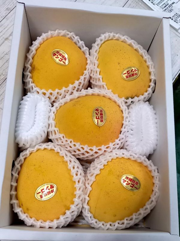 沖縄産★金蜜マンゴー5玉(2kg)クール発送 マンゴー 沖縄 金蜜マンゴー