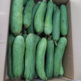 沖縄産 へちま（ナーベラー）〜沖縄野菜の通販販売-沖縄の青果物卸専門店-