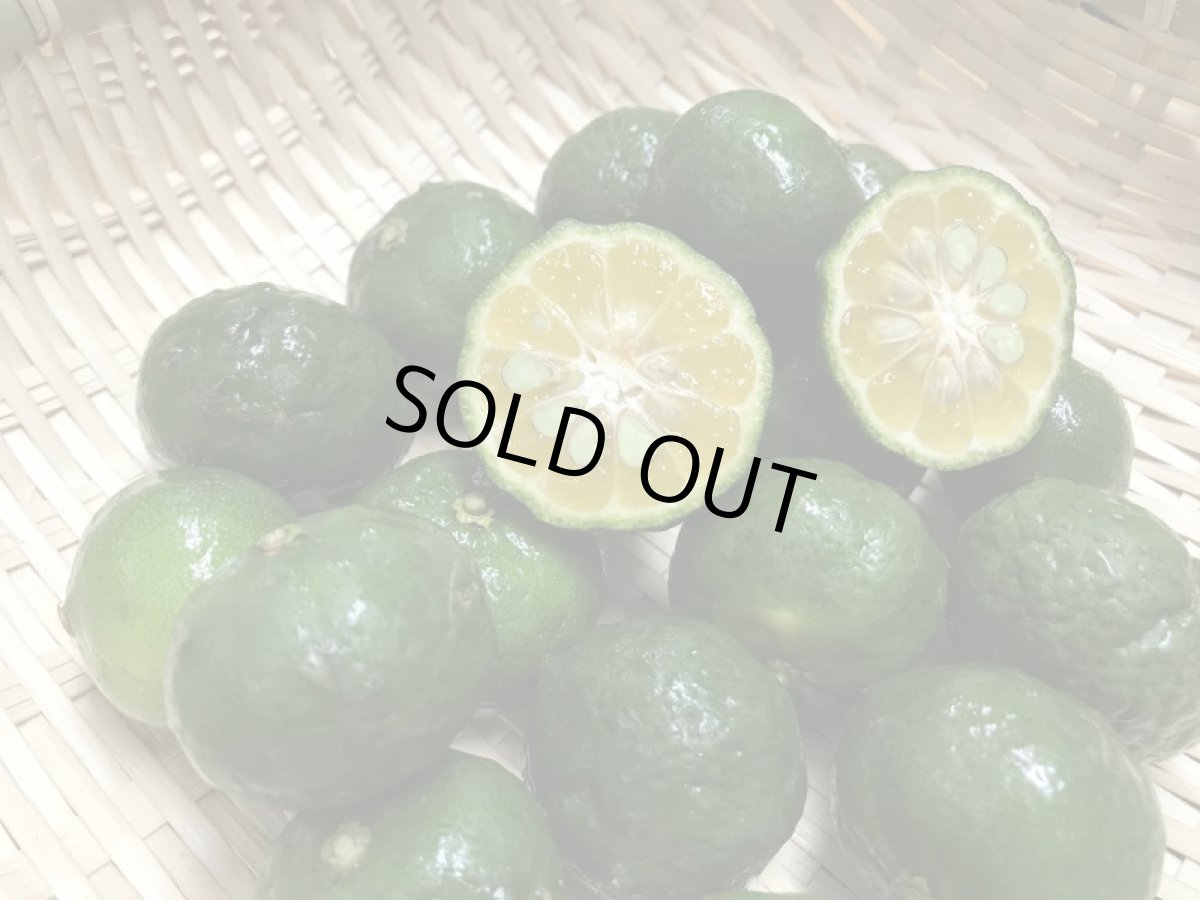 画像5: 早い者勝ち！訳ありドラゴンフルーツ２ｋｇ（5〜10玉）（白、赤指定不可）シークワーサー100ｇプレゼント付き週末セール商品　 (5)