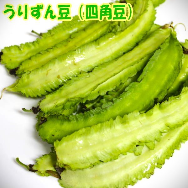 沖縄県産 うりずん豆（琉球四角豆）約６kg 【常温便】③ 沖縄県産 やさい 島野菜 うりずん豆