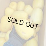 【K 】※希少 〈赤レンブ〉 クール便5Kg 50個前後(傷あり品) レンブ 贈物や暑中見舞いにおすすめです！