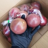 沖縄産パッションフルーツ〜沖縄野菜の通販販売-沖縄の野菜卸専門店- 沖縄産パッションフルーツ〜沖縄野菜の通販販売-沖縄の野菜卸専門店-
